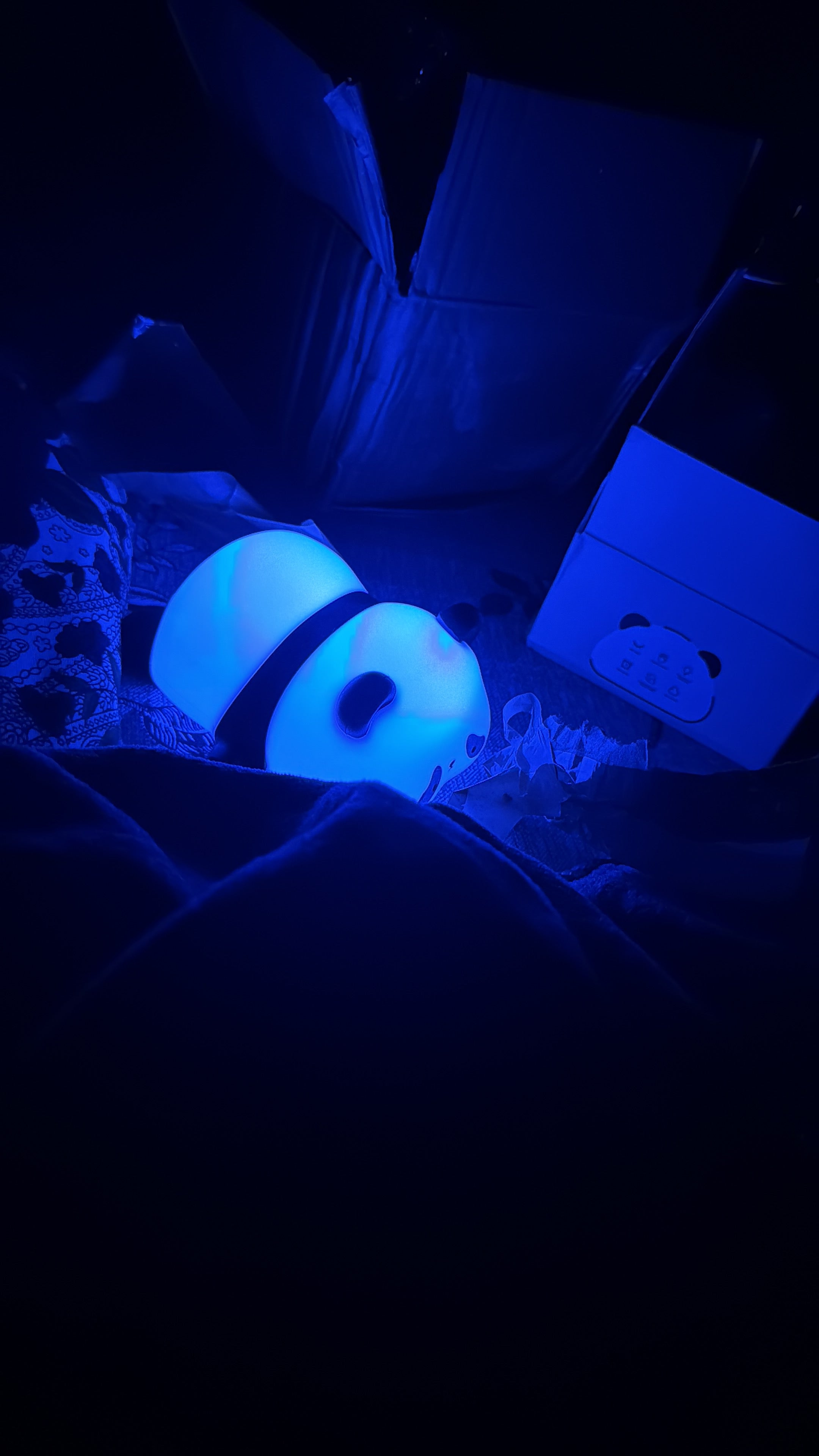 Cute Panda Night Light